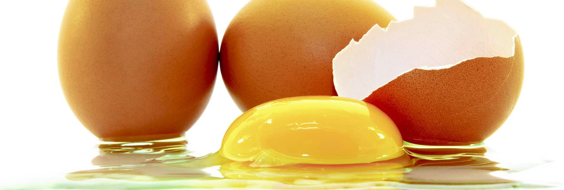 Eggs From Backyard Chickens—Protect Your Health & Avoid Drug Residues