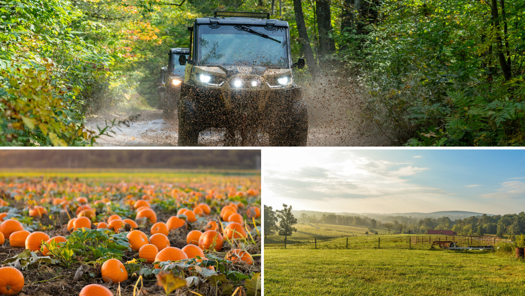 Fall on the Farm