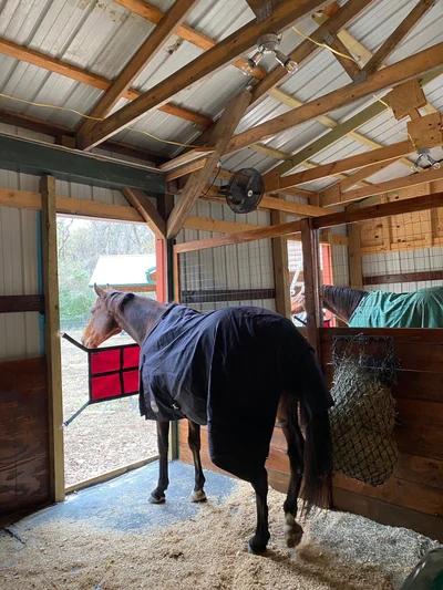 Outfitting Your Horse Barn