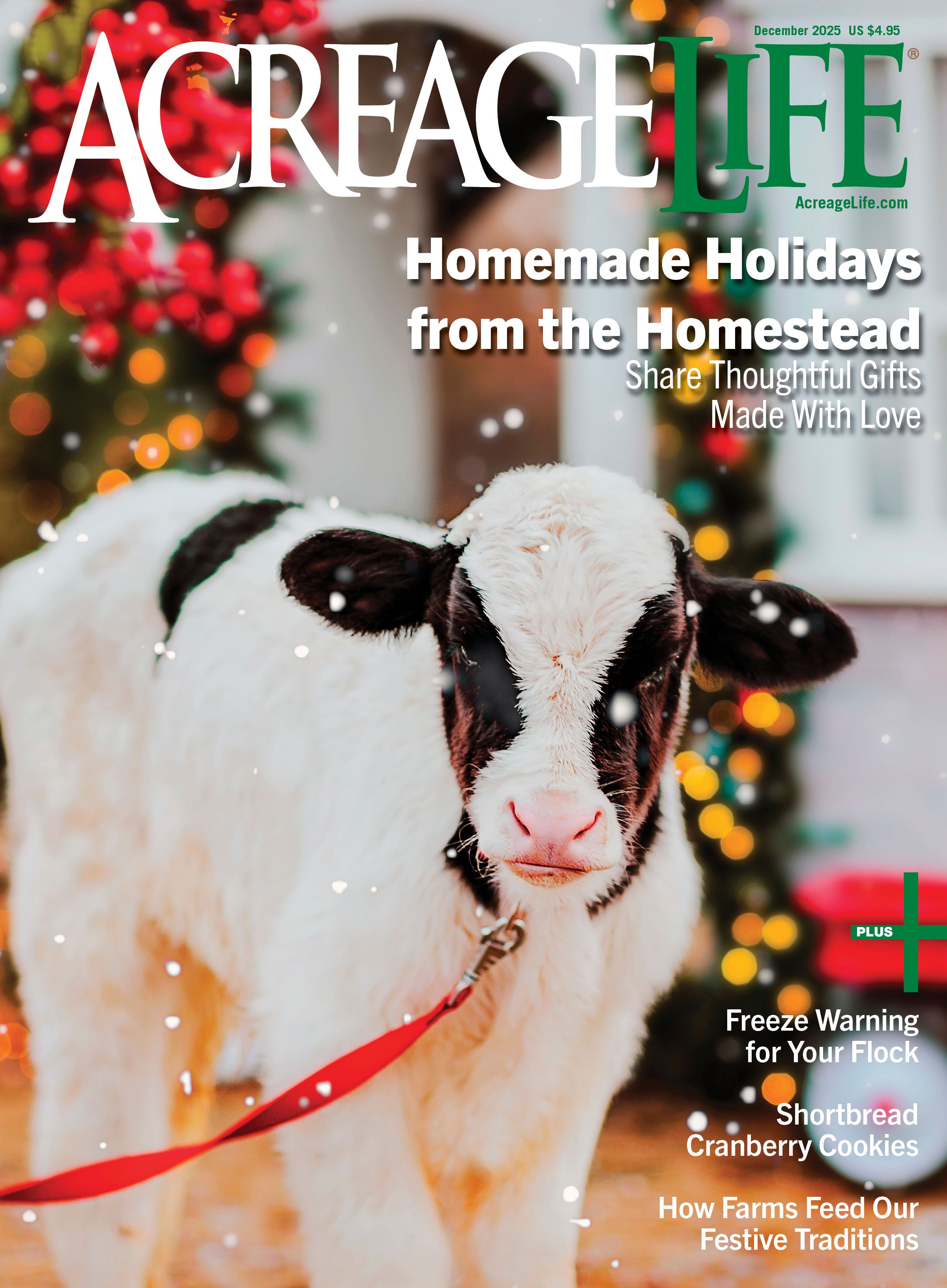 December 2025 - Country Holidays