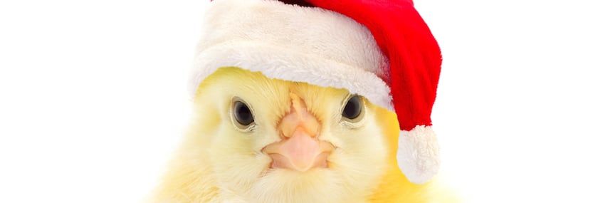 Holiday Wish List: More hobby farm animals
