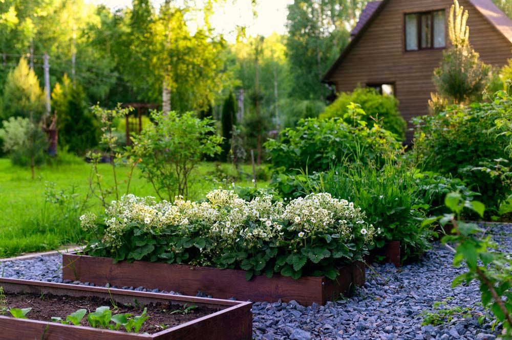 How to Keep Your Lawn, Flowers and Garden Looking Beautiful