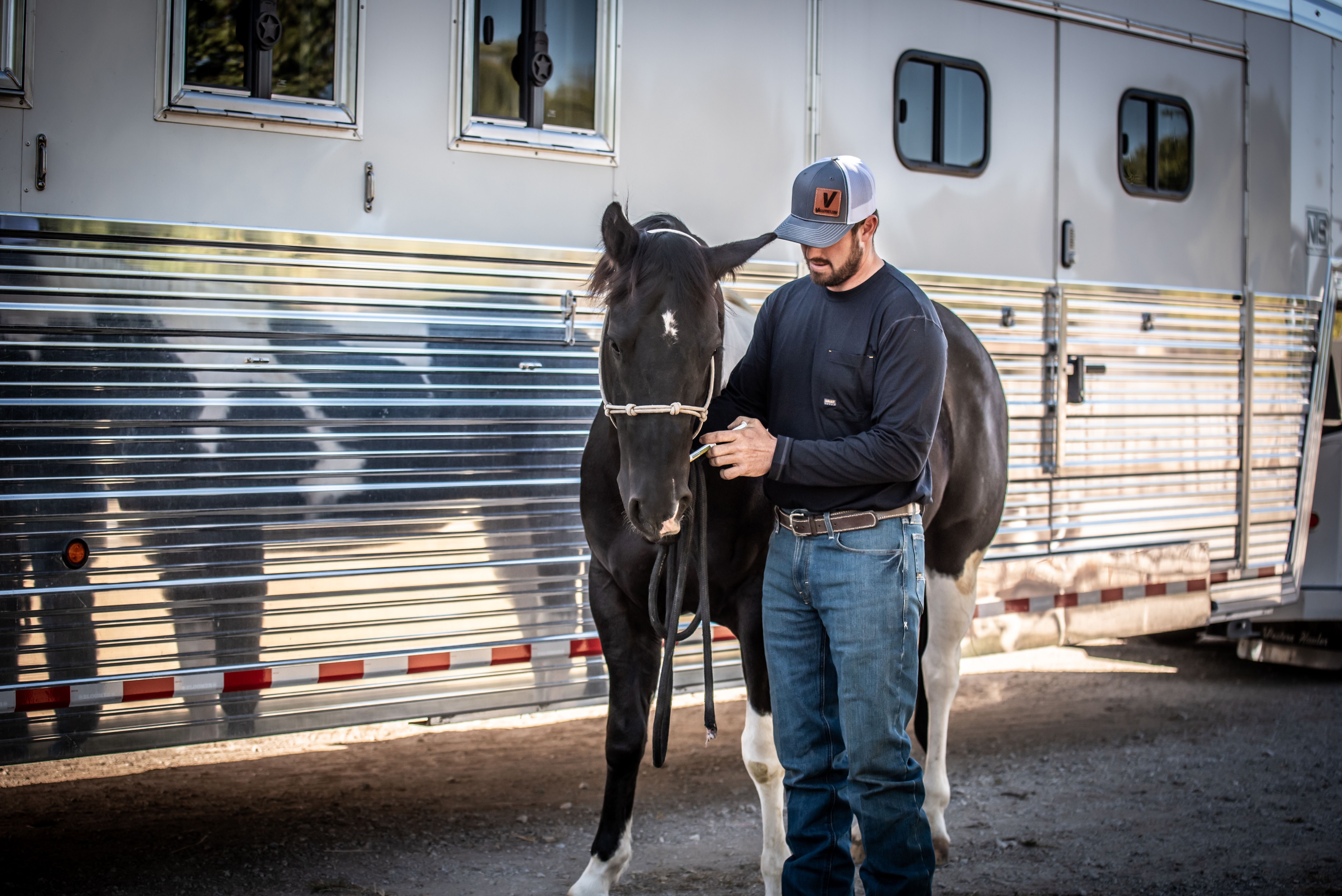 Impact of Ulcers on Horses 