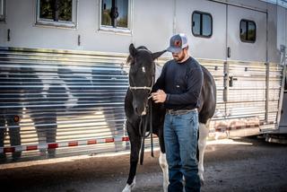 Impact of Ulcers on Horses