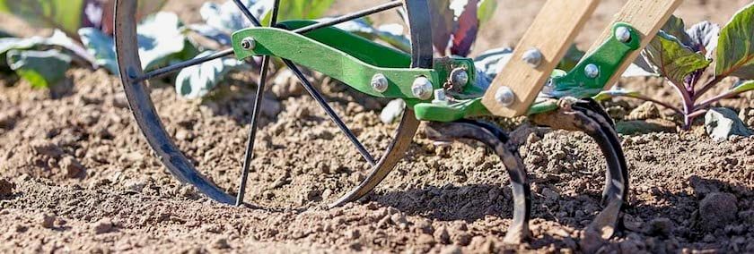 Cool Tools for Your Yard and Garden