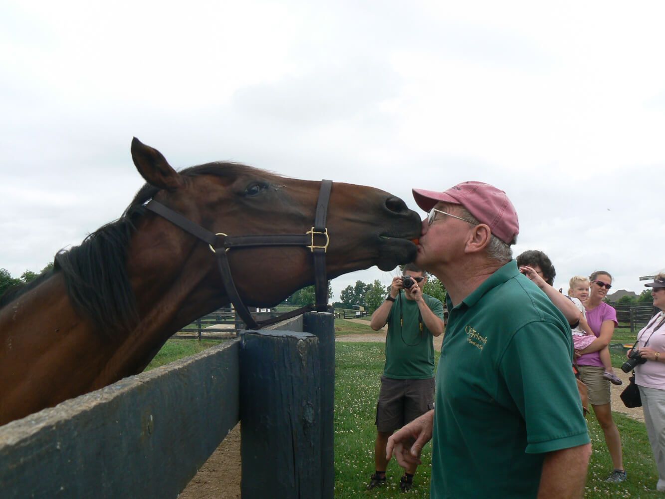 Where Do ‘Retired Horses’ Go?