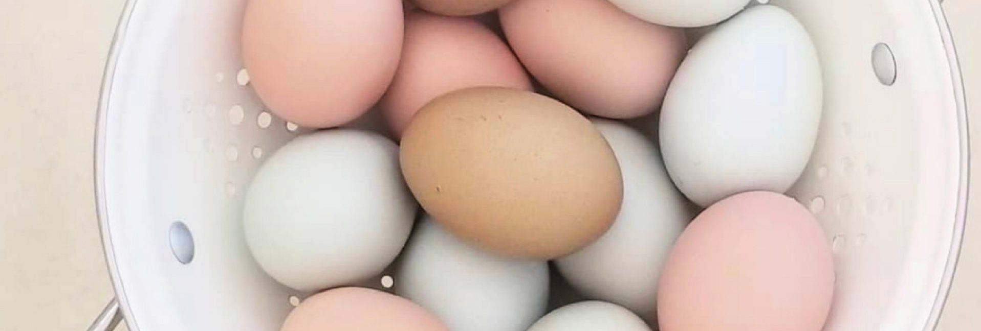 Six Tips for Handling Fresh Eggs