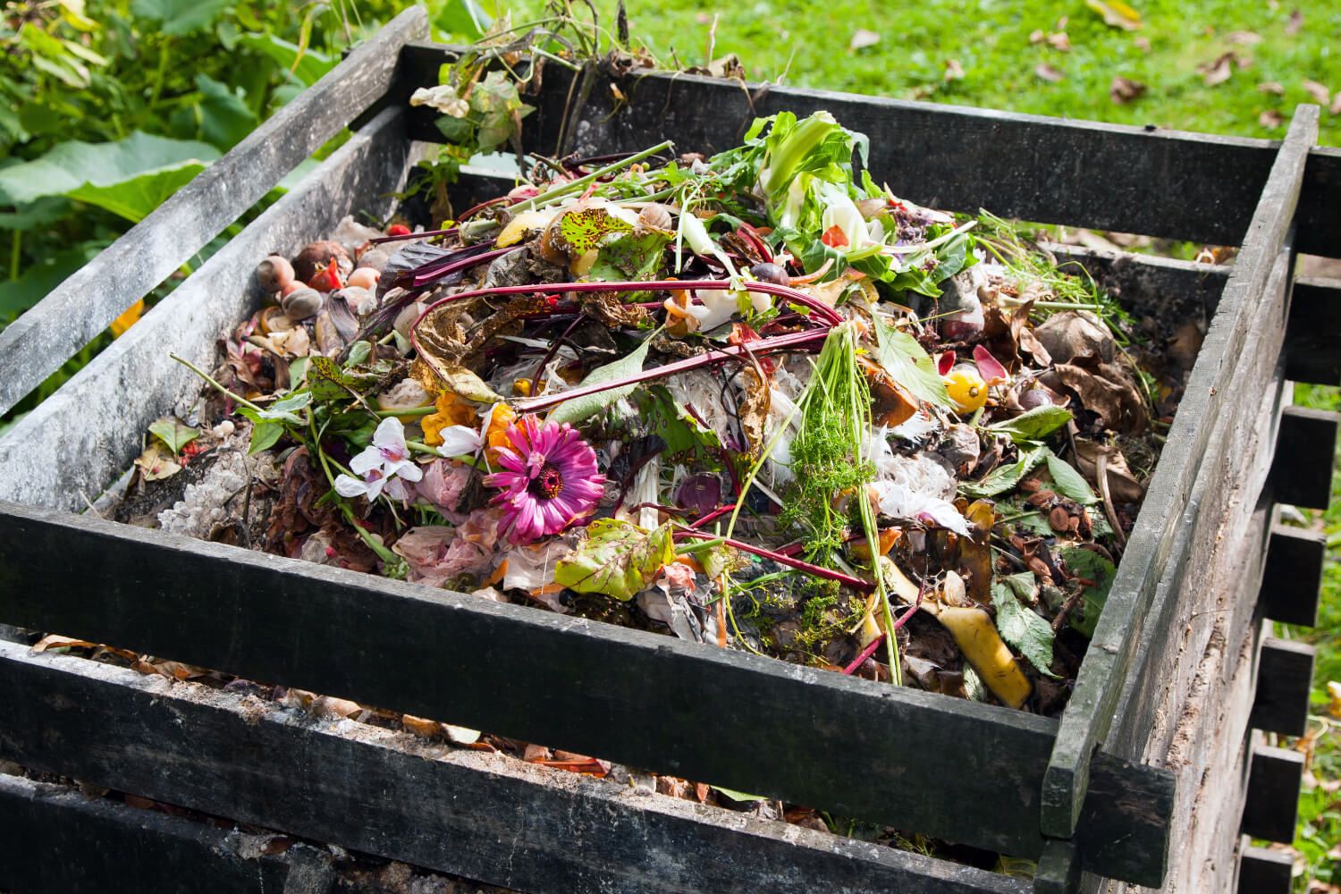 Composting Simplified: How to Turn Waste into Gold