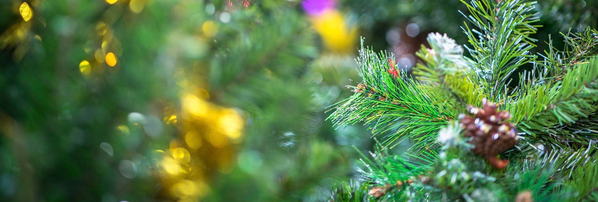 Six tips to keep your Christmas tree fresh all season