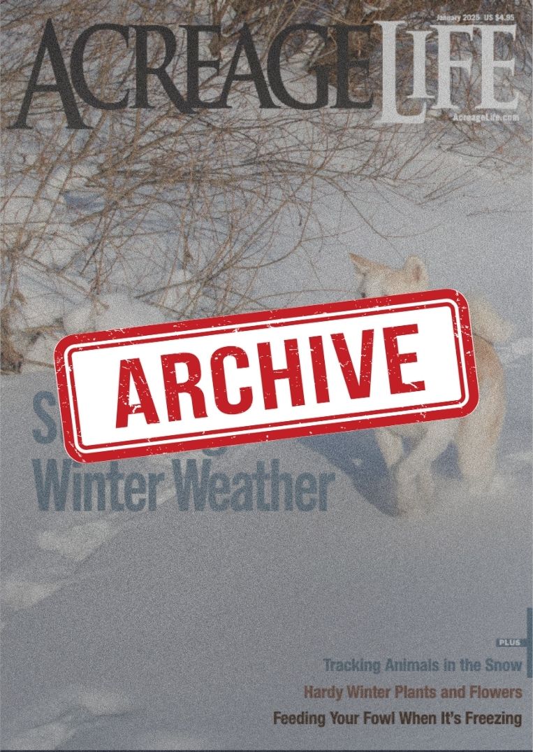 2025 Archive