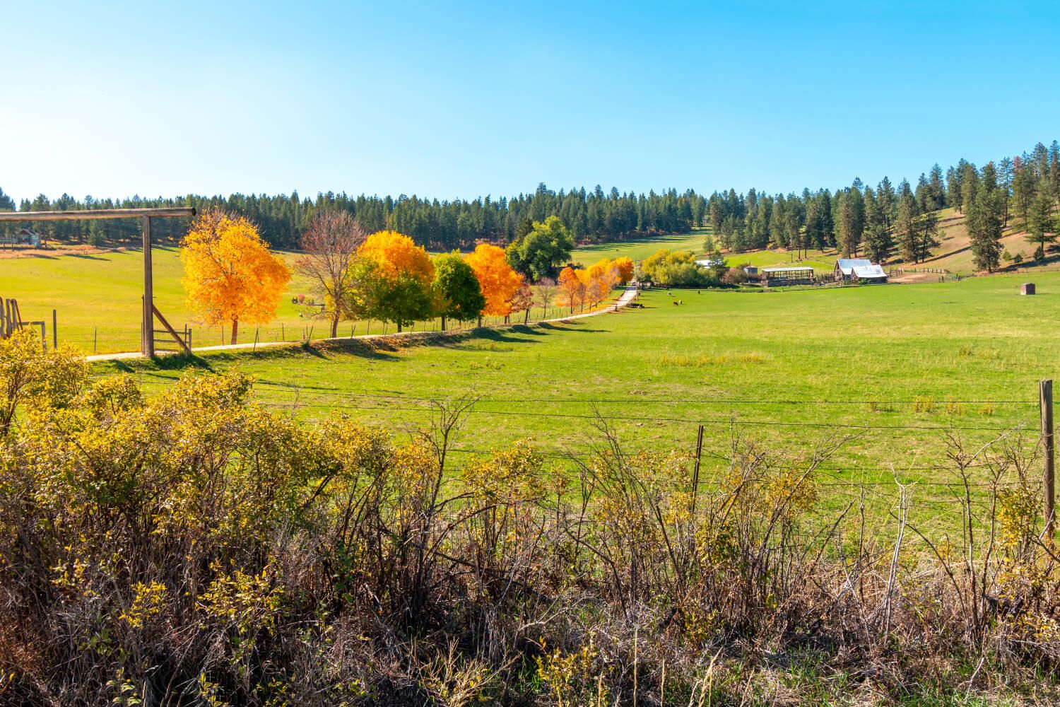 Fall Prep That Pays Dividends