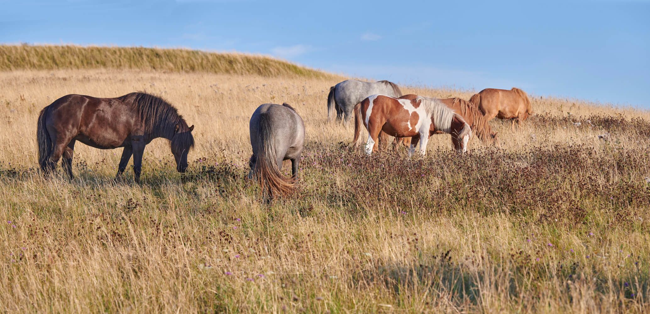 Beyond the Saddle