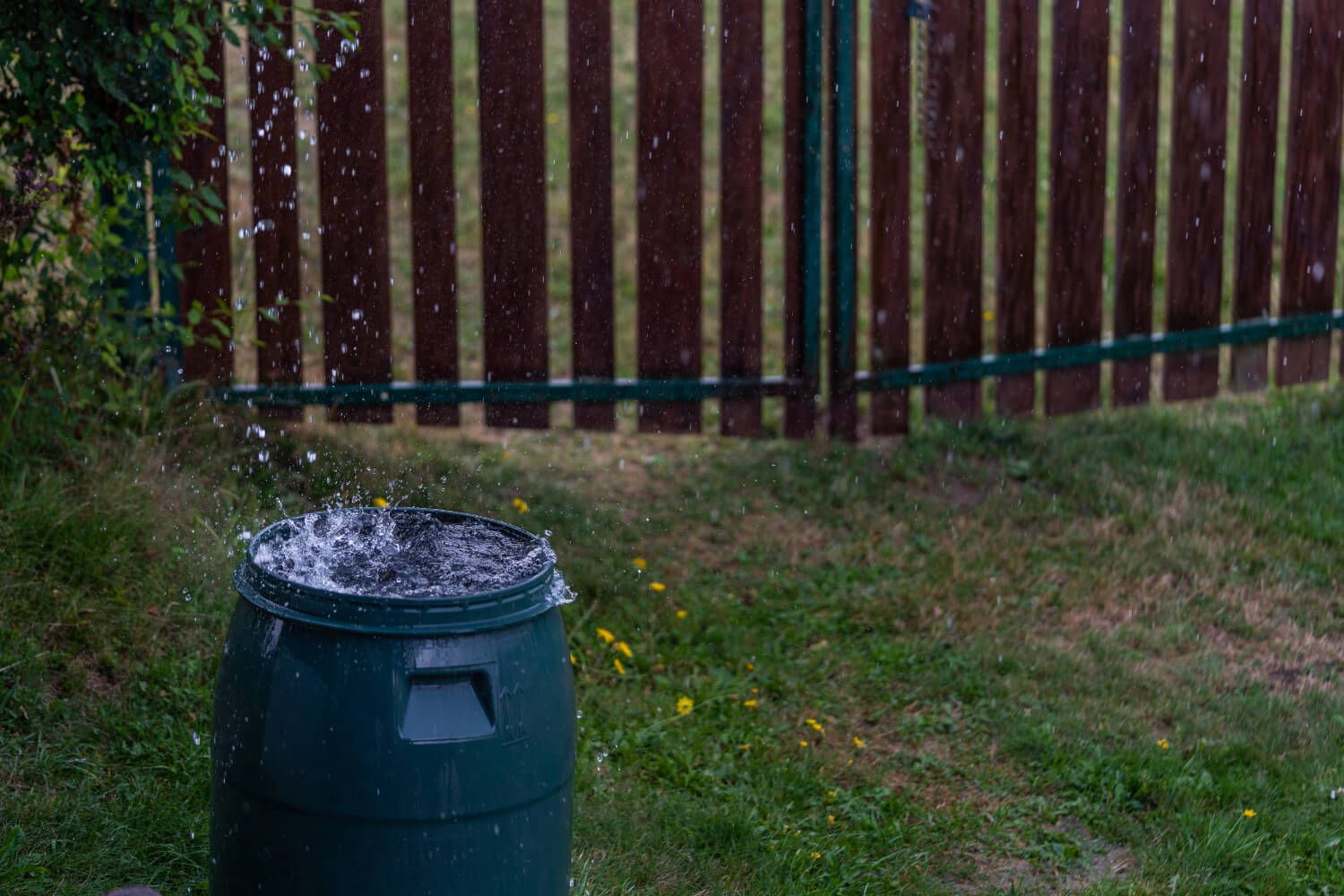 Keeping Rainwater Bins Free From Algae