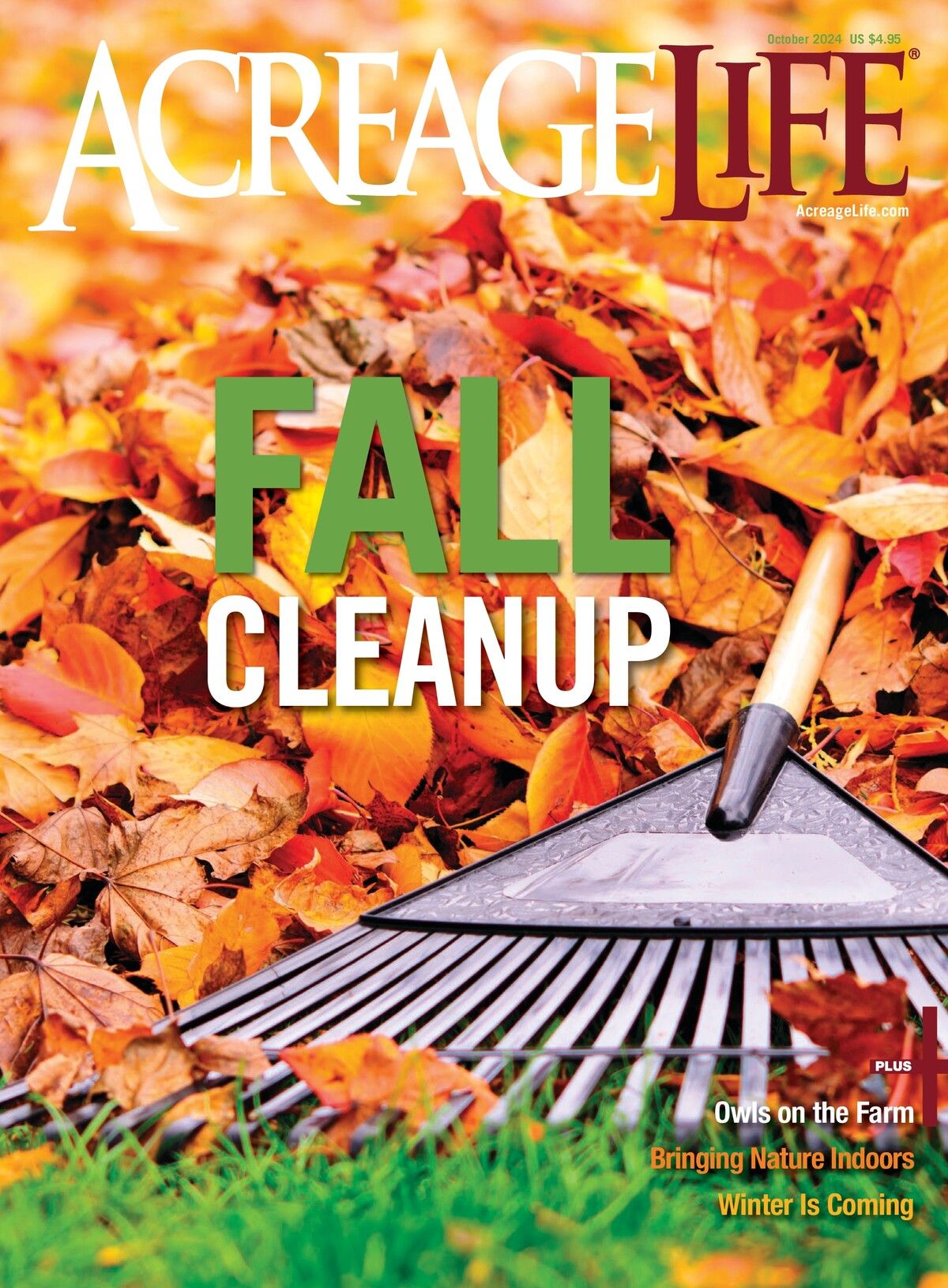 October 2024 - Fall Cleanup