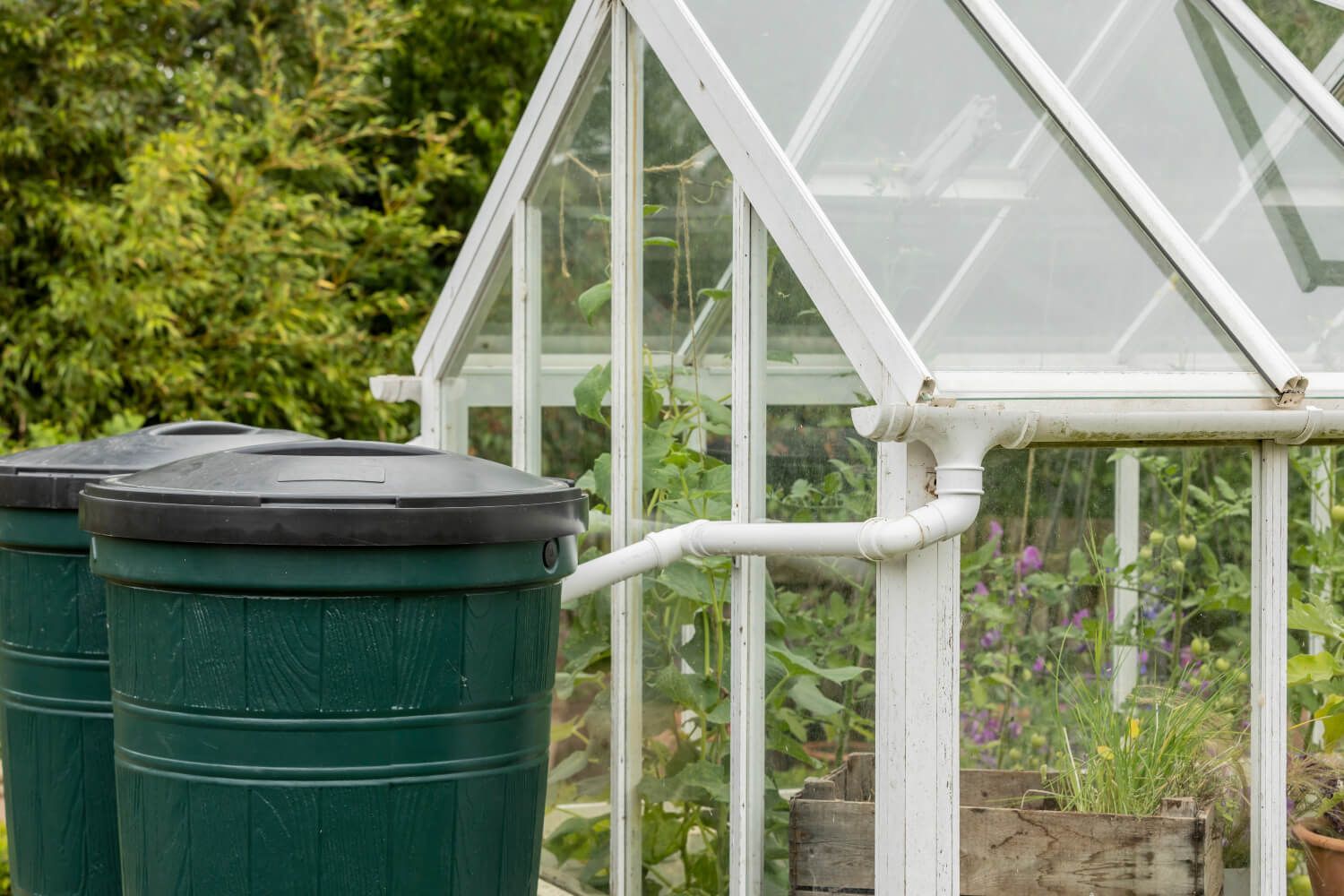 Rainwater Harvesting 101
