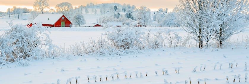 10 Ways to Survive Winter on a Farm