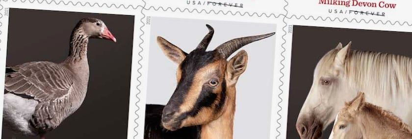 Heritage Breed Stamps