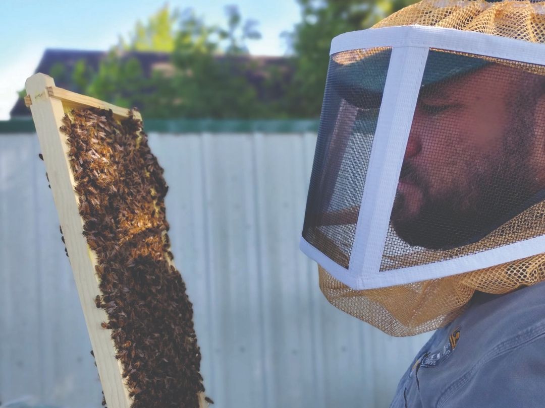 Starting A Backyard Beekeeping Adventure