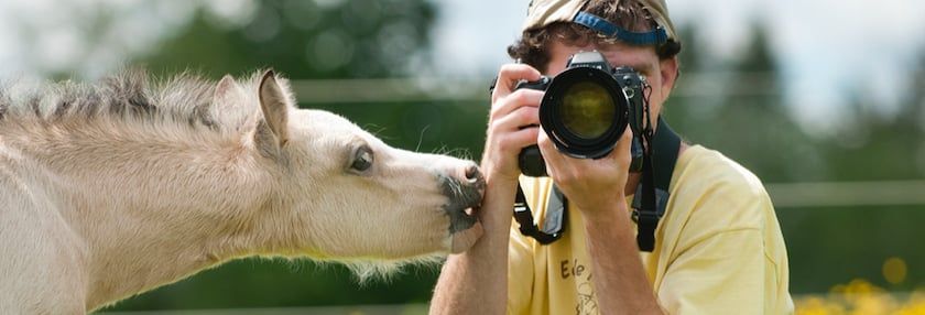 Photographing Your Farm Animals