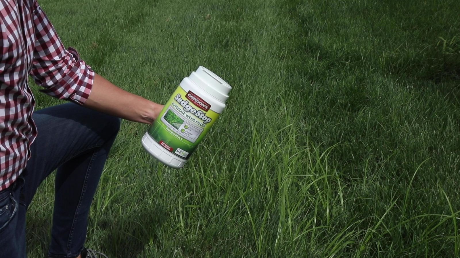 How To Apply Sedge Stop Nutsedge Weed Killer