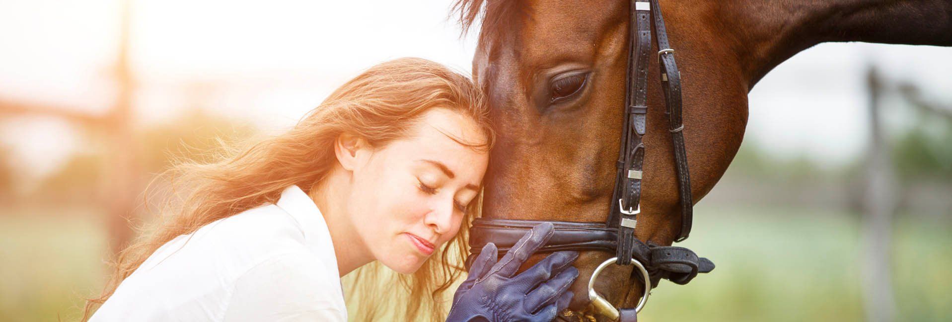 Say What? - Understand mixed signals between horses and humans