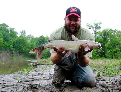 Bank Fishing For Channel Catfish