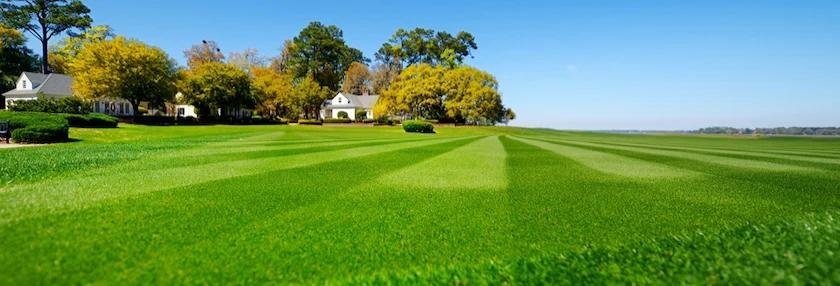 When Spring’s Sprung, Is Your Lawn Ready?