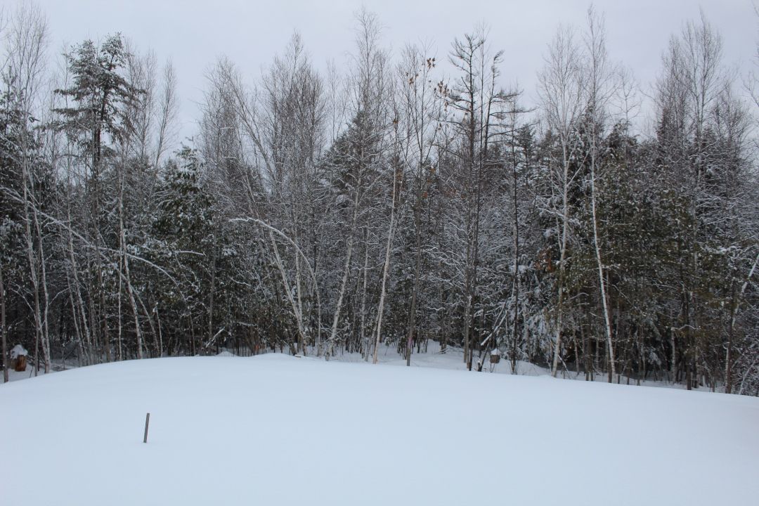 Winter Prep Without the Rush