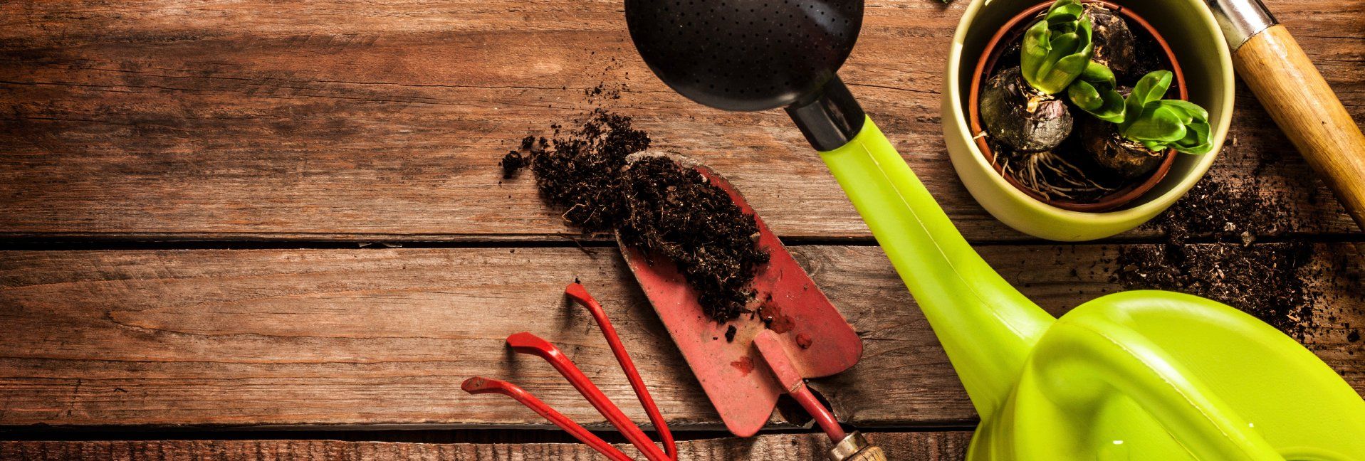 Get Those Hand Tools Ready for Gardening