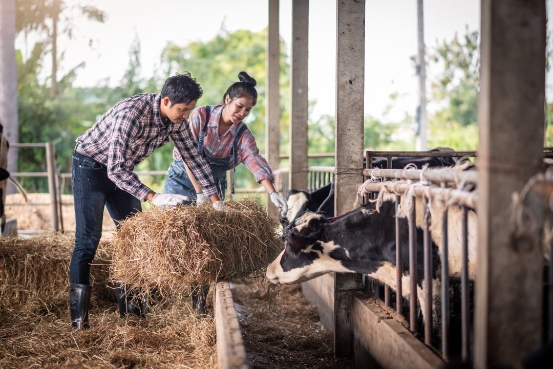 Thank Your Local Dairy Farmer