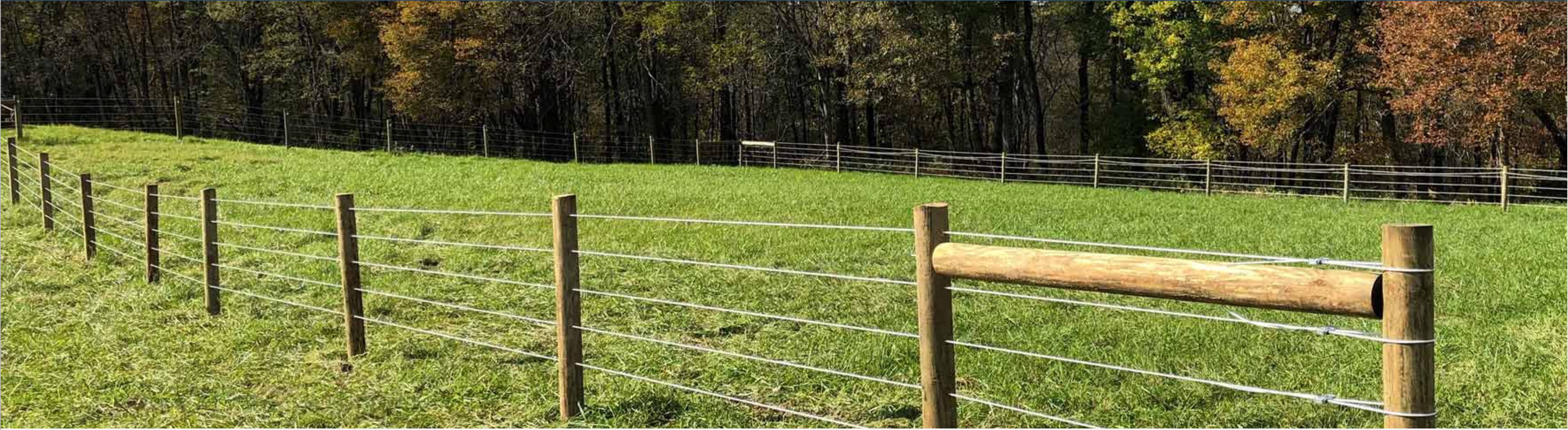 This Spring, Don’t Just Repair Your Fence—Upgrade!