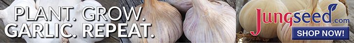 Jung Seed ROS 728x90 08/01-08/31/2025