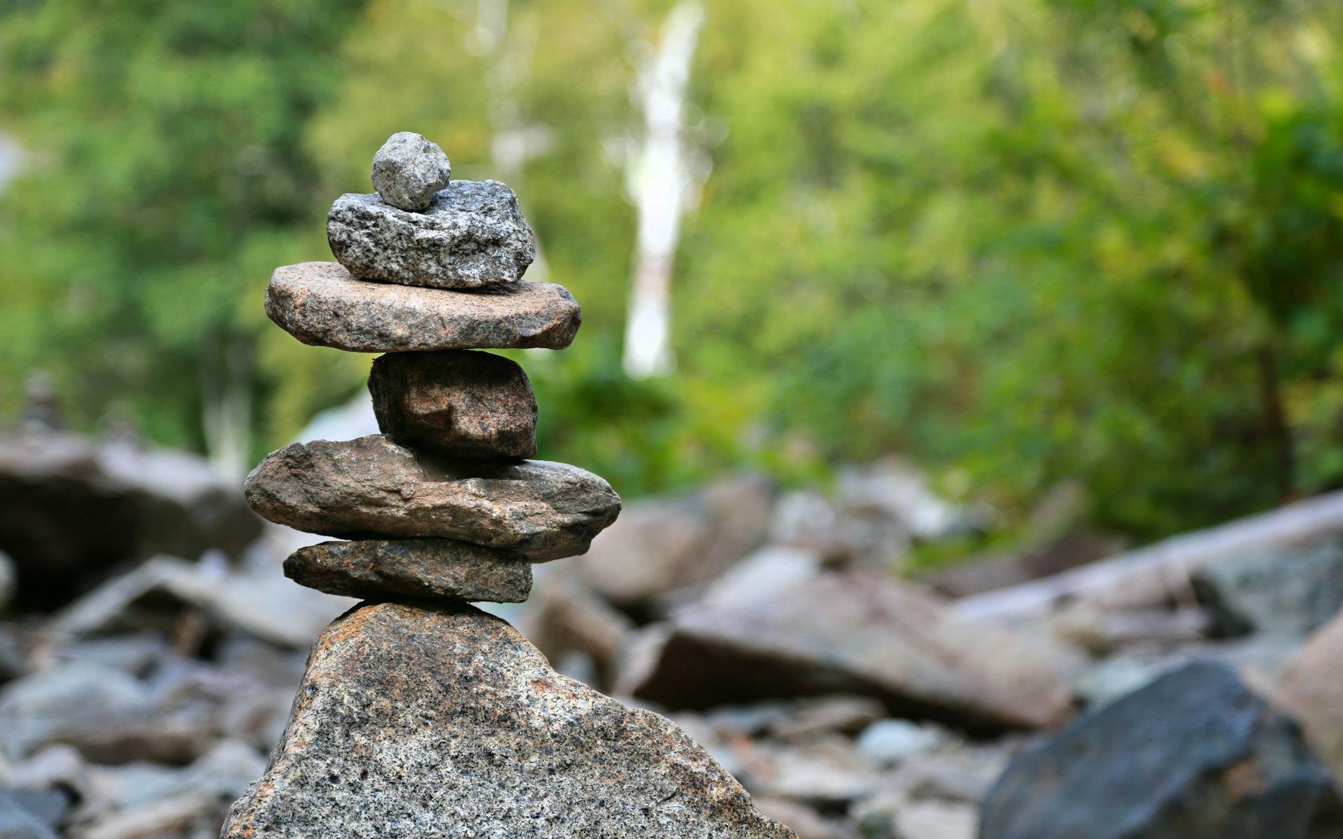 Balancing Your Inner Ecosystem