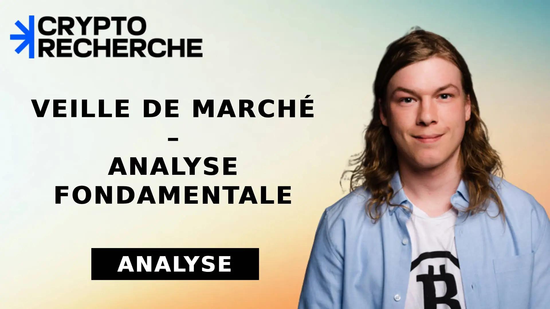 Mot sur le marché de Paul + Analyse fondamentale des meilleurs projets