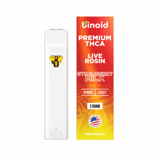 Binoid THCA 2g Disposable - Space Cake