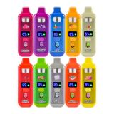 Packman Mini 1 g Disposable - Cool Mint (5 Pack)