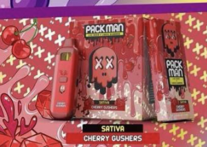Packman Gen 3 2g Disposable - Blackberry Ice (10 Pack)