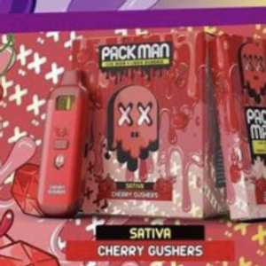 Packman Gen 3 2 g LED Digital Screen Disposable Vape – 10 Pack (Bulk)
