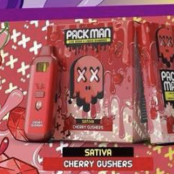 Packman Gen 3 2 g LED Digital Screen Disposable Vape – 10 Pack (Bulk)