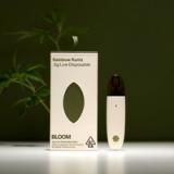 Bloom Classic All-in-One Disposable - Watermelon Chill