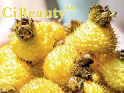 CiBeauty™