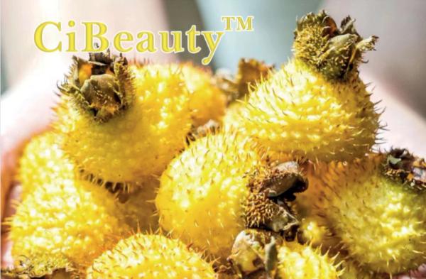 CiBeauty™