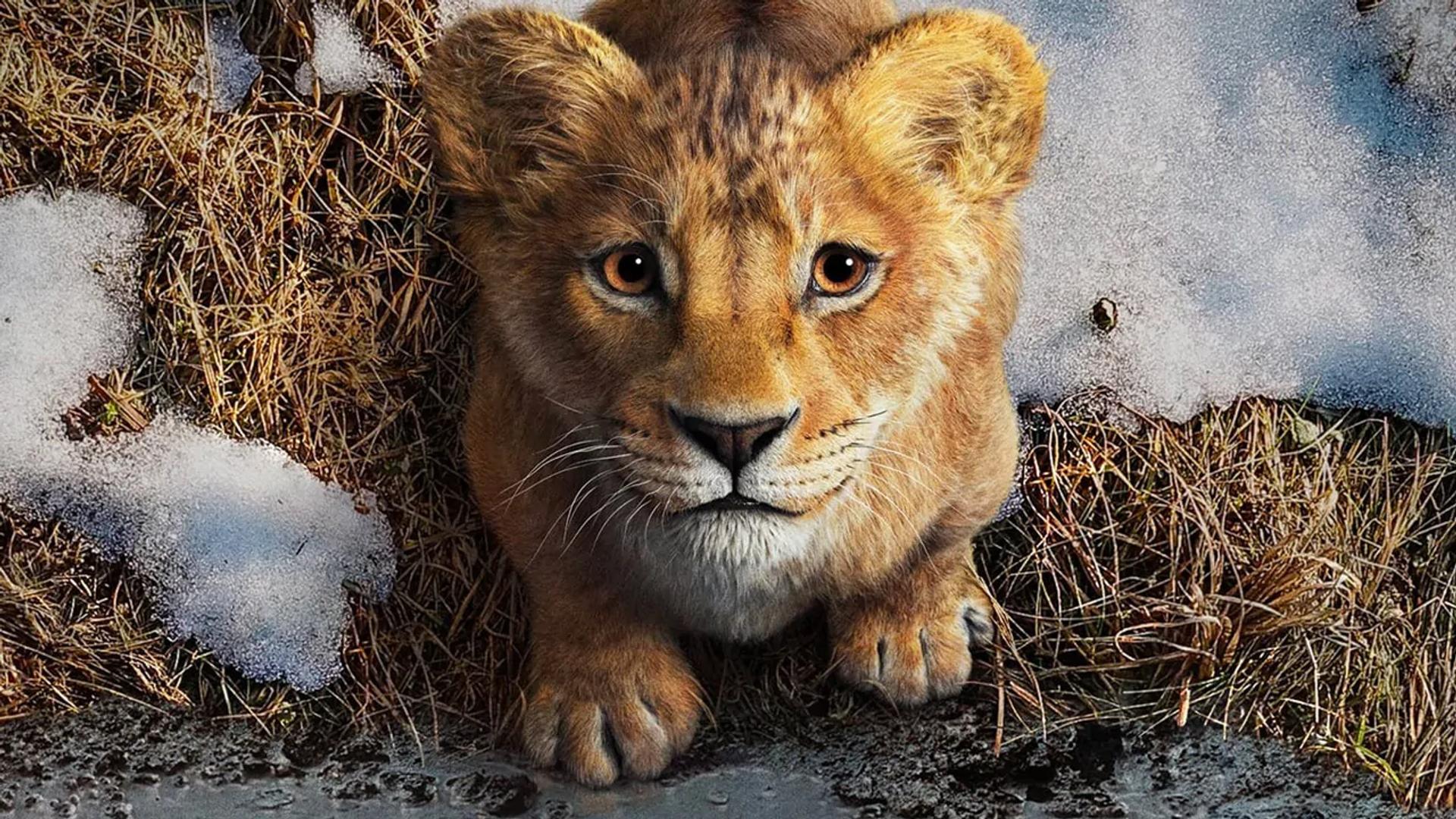 Mufasa: Il Re Leone