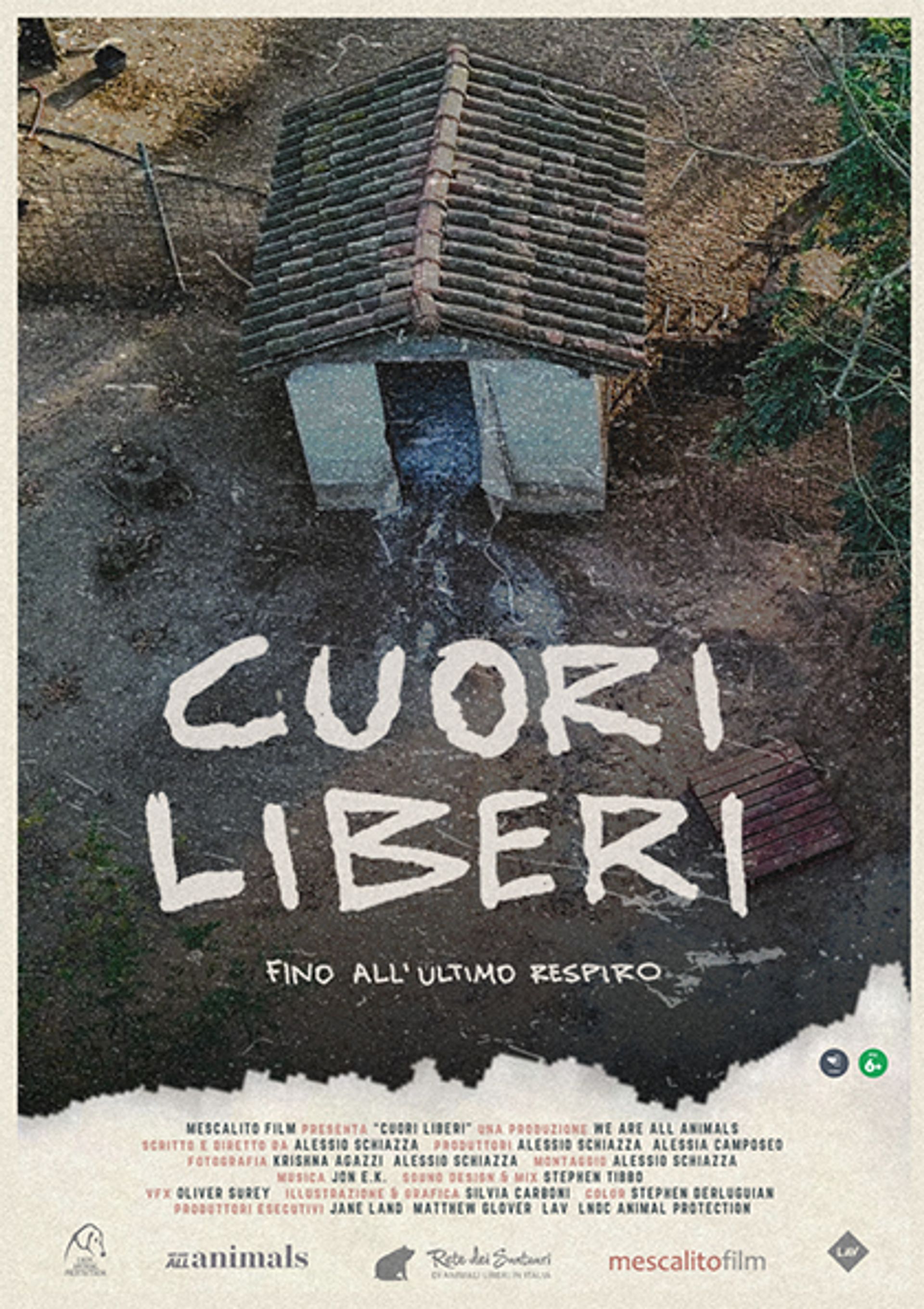 Cuori Liberi - Cinema E Ambiente