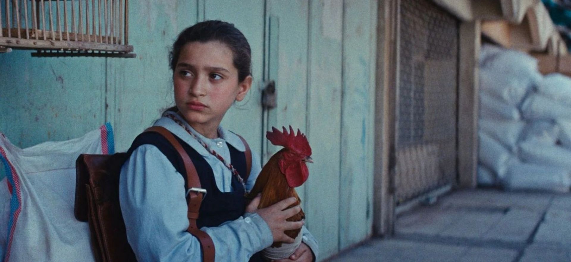 La Torta Del Presidente