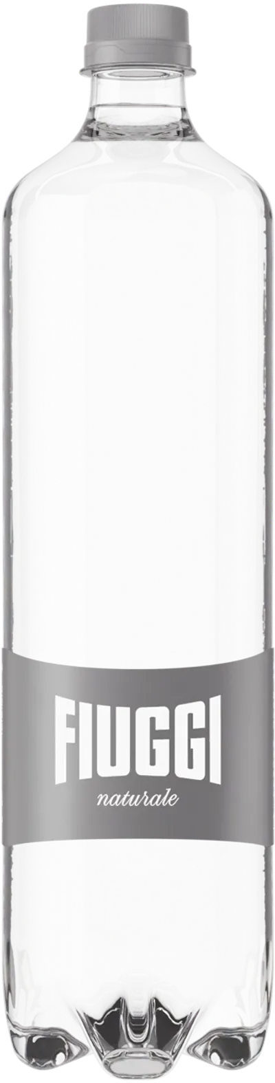 Acqua Fiuggi Everyday naturale 1L
