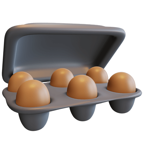 Boîte à œufs en plastique