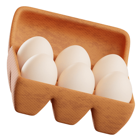 Boite à œufs en carton