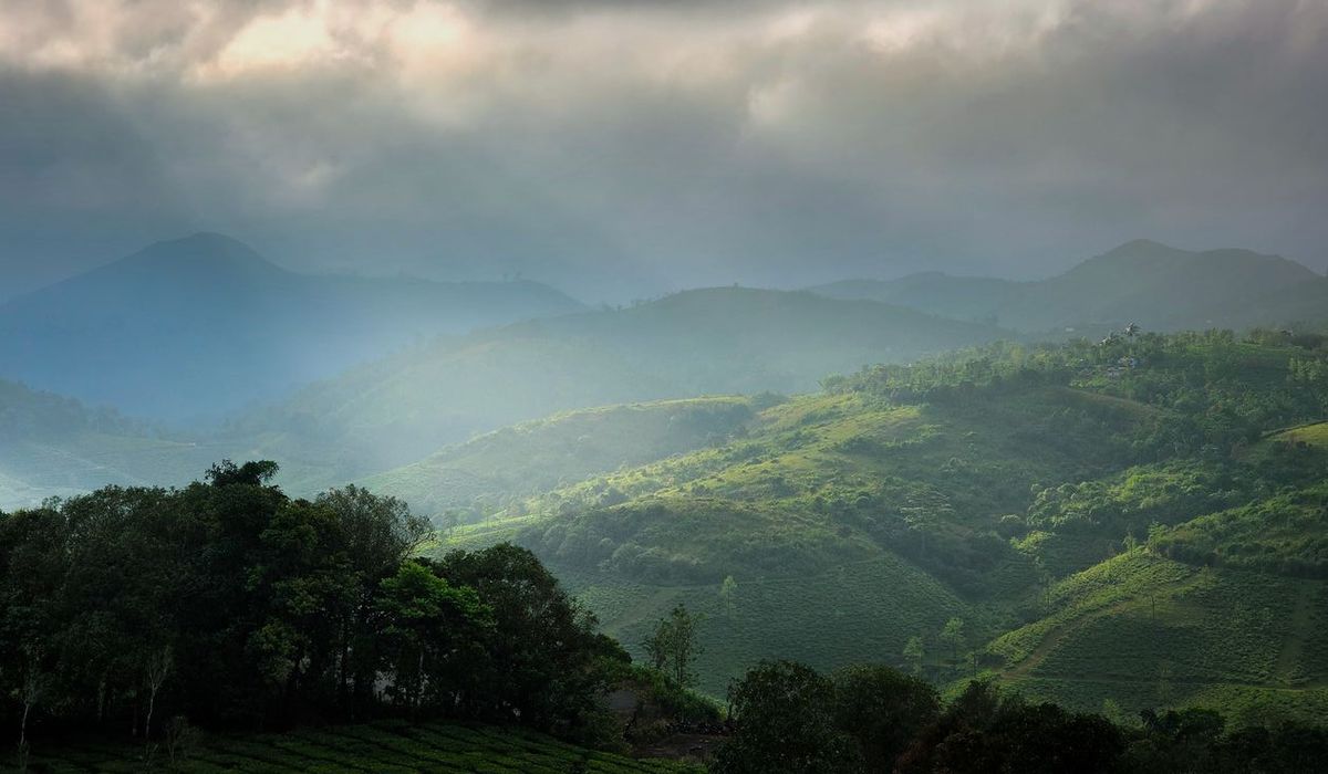 10-smart-tips-buy-used-car-mycar