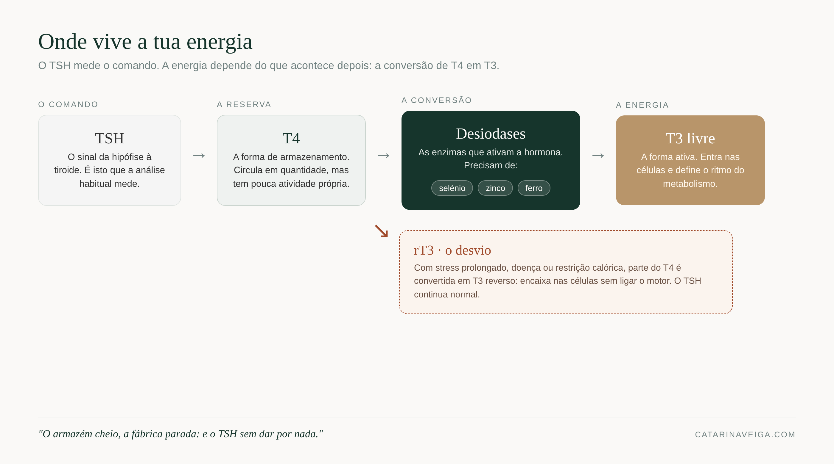 Diagrama da conversão: TSH, T4, desiodases com selénio, zinco e ferro, T3 livre, e o desvio para rT3